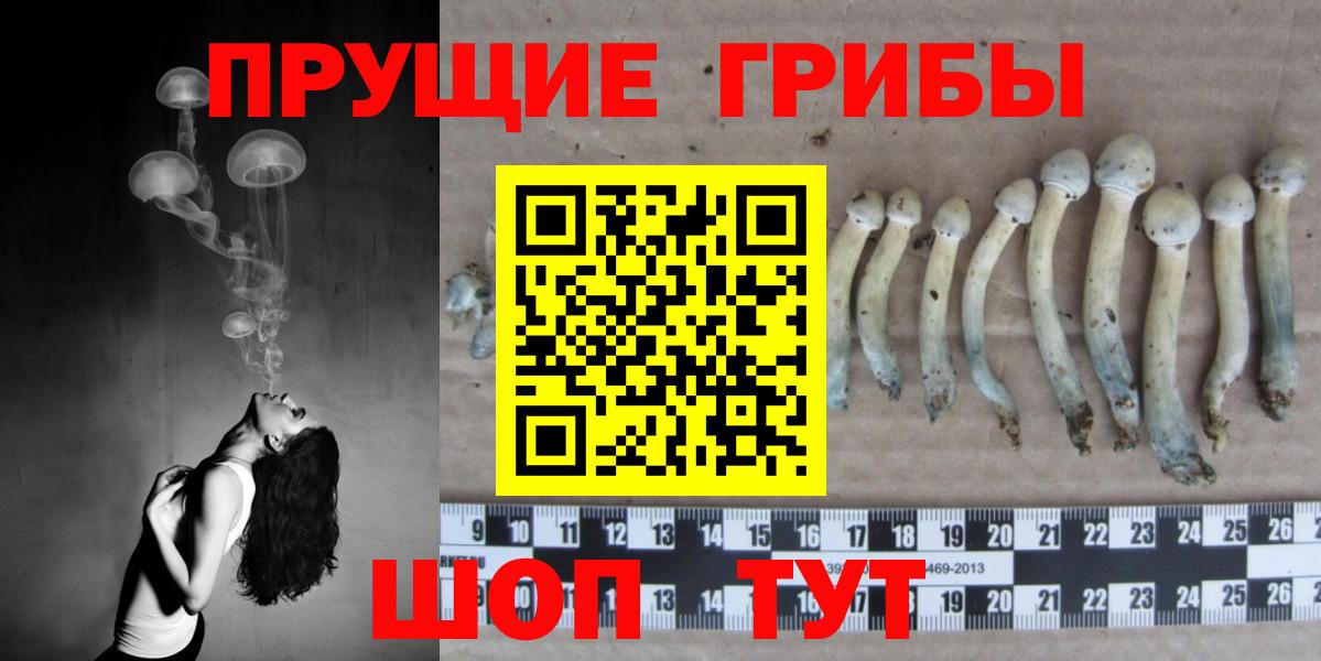 Татарск  как найти наркотики  Вход с VPN  Галлюциногенные грибы ЛСД  Галлюциногенные грибы MAGIC MUSHROOMS 